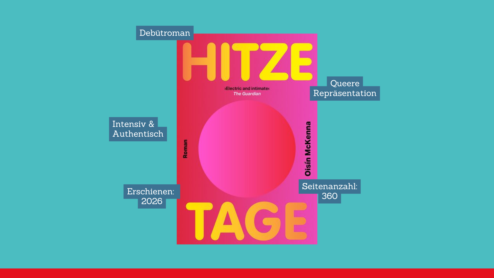 Mehr über den Artikel erfahren Buchrezension „Hitzetage“