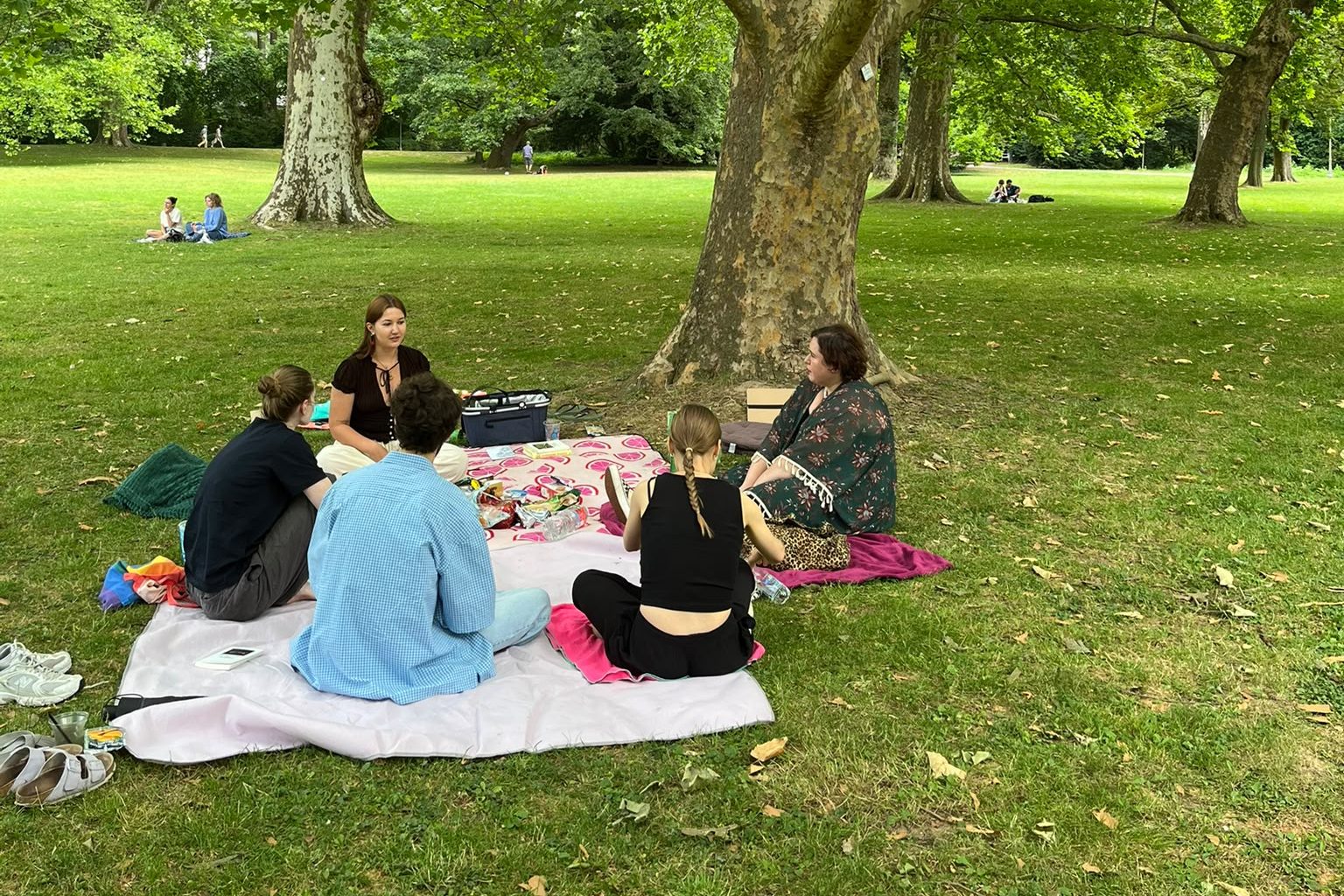 Mehr über den Artikel erfahren Zum Lese-Picknick mit dem Buchclub Wiesi